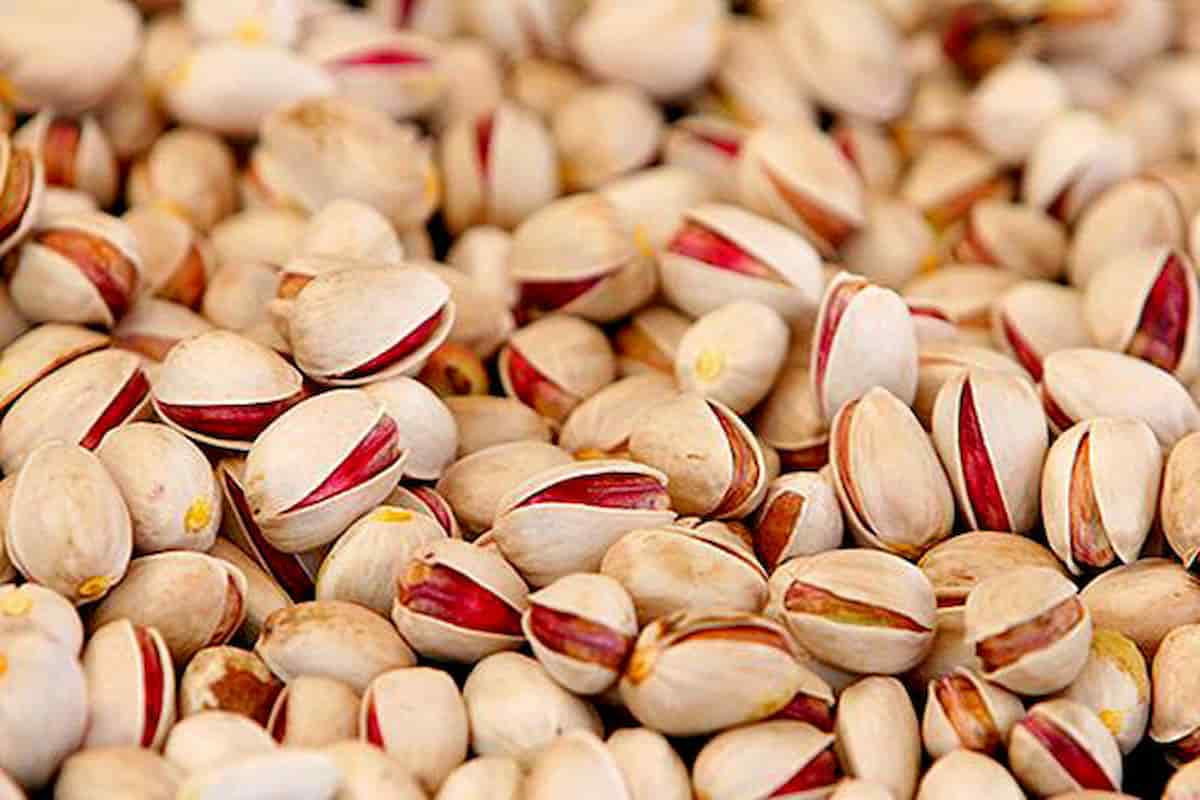 پسته رفسنجان تازه مناسب مصارف خوراکی و فرآوری